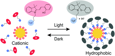 Graphical abstract: Light-induced reversible hydrophobization of cationic gold nanoparticles via electrostatic adsorption of a photoacid
