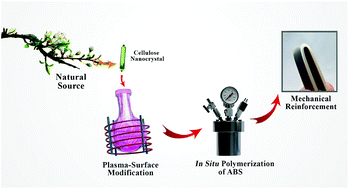 Graphical abstract: Plasma surface-modification of cellulose nanocrystals: a green alternative towards mechanical reinforcement of ABS