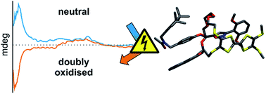 Graphical abstract: Chiroptical inversion of a planar chiral redox-switchable rotaxane