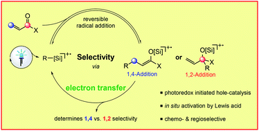 Graphical abstract: Chain propagation determines the chemo- and regioselectivity of alkyl radical additions to C–O vs. C–C double bonds
