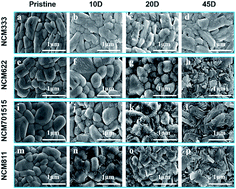 Graphical abstract: Increase and discretization of the energy barrier for individual LiNixCoyMnyO2 (x + 2y =1) particles with the growth of a Li2CO3 surface film