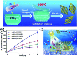 Graphical abstract: Efficient photocatalytic hydrogen evolution mediated by defect-rich 1T-PtS2 atomic layer nanosheet modified mesoporous graphitic carbon nitride