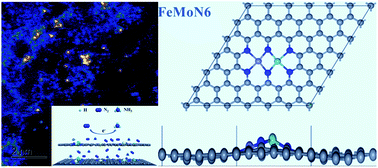 Graphical abstract: Atomically dispersed metal dimer species with selective catalytic activity for nitrogen electrochemical reduction