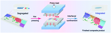 Graphical abstract: Thermal-guided interfacial confinement to fabricate flexible structural color composites for durable applications