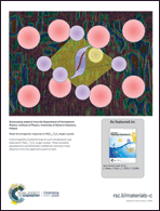 Graphical abstract: Back cover