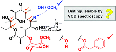 Graphical abstract: Sensitivity of VCD spectroscopy for small structural and stereochemical changes of macrolide antibiotics