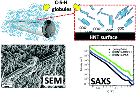 Graphical abstract: Functionalised nanoclays as microstructure modifiers for calcium and magnesium silicate hydrates
