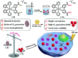 Graphical abstract: Water-soluble cyclometalated Ir(iii) complexes as carrier-free and pure nanoparticle photosensitizers for photodynamic therapy and cell imaging