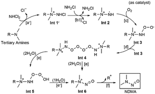 Graphical abstract: Reinvestigation of NDMA formation mechanisms from tertiary amines during chloramination: a DFT study
