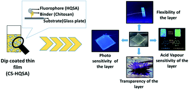 Graphical abstract: A cost-effective chitosan–oxine based thin film for a volatile acid vapour sensing application