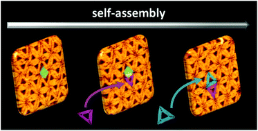 Graphical abstract: Dynamics of lattice defects in mixed DNA origami monolayers