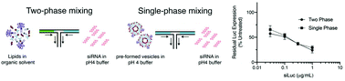 Graphical abstract: Spontaneous, solvent-free entrapment of siRNA within lipid nanoparticles