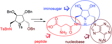 Graphical abstract: Synthesis of novel homoazanucleosides and their peptidyl analogs