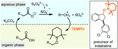 Graphical abstract: Metal free decarboxylative aminoxylation of carboxylic acids using a biphasic solvent system