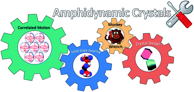 Graphical abstract: Correlated motion and mechanical gearing in amphidynamic crystalline molecular machines