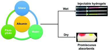 Graphical abstract: Versatile composite hydrogels for drug delivery and beyond