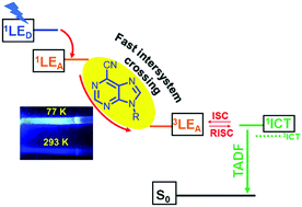 Graphical abstract: All-organic fast intersystem crossing assisted exciplexes exhibiting sub-microsecond thermally activated delayed fluorescence
