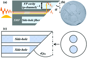 Graphical abstract: In-fibre micro-channel: its potential for in-fibre detection