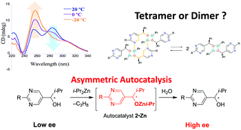 Graphical abstract: Circular dichroism spectroscopy of catalyst preequilibrium in asymmetric autocatalysis of pyrimidyl alkanol