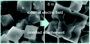 Graphical abstract: (NH4)3FeF6 mesocrystals grown by electric field-assisted in situ dissolution and the reaction of anodic iron oxides