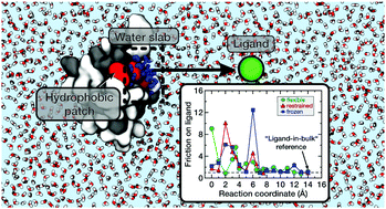 Graphical abstract: Protein flexibility reduces solvent-mediated friction barriers of ligand binding to a hydrophobic surface patch
