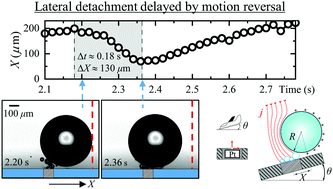 Graphical abstract: Dynamics of single hydrogen bubbles at Pt microelectrodes in microgravity
