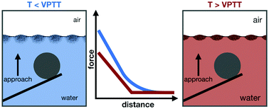 Graphical abstract: Interactions between a responsive microgel monolayer and a rigid colloid: from soft to hard interfaces
