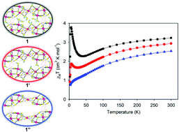 Graphical abstract: Water-assisted spin-flop antiferromagnetic behaviour of hydrophobic Cu-based metal–organic frameworks