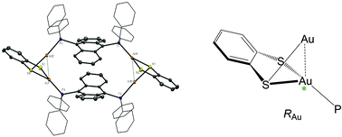 Graphical abstract: A dynamic tetranuclear gold(i)-cyclophane – gold(i)-centred chirality and fluxionality arising from an intramolecular shift of Au–S bonds