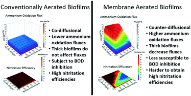 Graphical abstract: Enhancing ammonium oxidation fluxes and nitritation efficiencies in MABRs: a modeling study