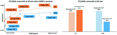 Graphical abstract: Oxidative degradation of cylindrospermopsin and anatoxin-a by FeIII–B*/H2O2