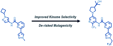 Graphical abstract: Optimization of brain-penetrant picolinamide derived leucine-rich repeat kinase 2 (LRRK2) inhibitors