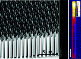 Graphical abstract: Understanding the role of facets and twin defects in the optical performance of GaAs nanowires for laser applications