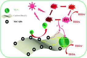 Graphical abstract: Design and preparation of a ternary MoC-QDs/C/Mo–S heterojunction for enhanced eosin Y-sensitized photocatalytic hydrogen evolution