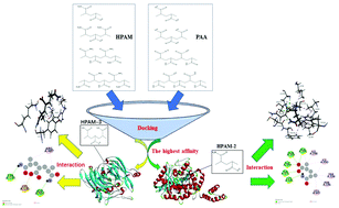 Graphical abstract: Biodegradation of anionic polyacrylamide mediated by laccase and amidase: docking, virtual mutation based on affinity and DFT study