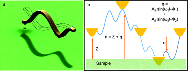 Graphical abstract: Discrimination of adhesion and viscoelasticity from nanoscale maps of polymer surfaces using bimodal atomic force microscopy