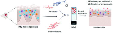 Graphical abstract: Hydrogel-mediated topical delivery of steroids can effectively alleviate psoriasis via attenuating the autoimmune responses
