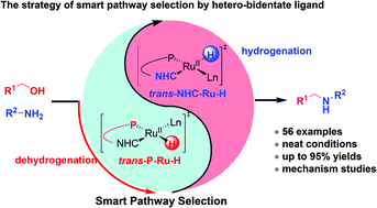 Graphical abstract: Ruthenium(ii) complexes with N-heterocyclic carbene–phosphine ligands for the N-alkylation of amines with alcohols