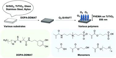 Graphical abstract: Polymer brush growth by oxygen-initiated RAFT polymerization on various substrates