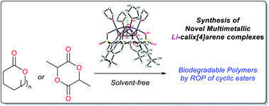 Graphical abstract: Lithium calix[4]arenes: structural studies and use in the ring opening polymerization of cyclic esters