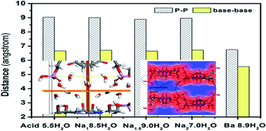 Graphical abstract: The features of the crystal structure of the layered series hydrates of uridine-5′-monophosphate salts (UMPNax·yH2O)