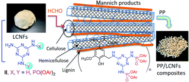 Graphical abstract: Flame retardance-donated lignocellulose nanofibers (LCNFs) by the Mannich reaction with (amino-1,3,5-triazinyl)phosphoramidates and their properties