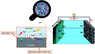 Graphical abstract: A comprehensive review of the development of magnesium anodes for primary batteries