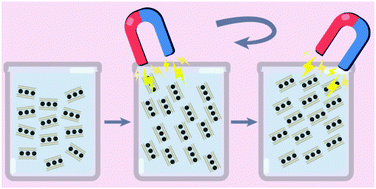Graphical abstract: Colloidally stable, magnetoresponsive liquid crystals based on clay nanosheets