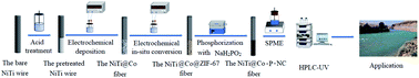 Graphical abstract: Development of a novel porous cobalt, phosphorus and nitrogen co-doped carbonaceous coating by phosphiding ZIF-67 grown on nitinol fiber for selective solid-phase microextraction of polycyclic aromatic hydrocarbons from water samples