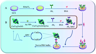 Graphical abstract: Preparation of an electrochemical immunosensor based on a Cu/Cu2O-rGO@Au signal synergistic amplification strategy and efficient and sensitive detection of alpha-fetoprotein