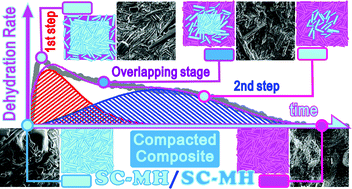 Graphical abstract: Physico-geometrical kinetics of the thermal dehydration of sodium carbonate monohydrate as a compacted composite of inorganic hydrate comprising crystalline particles and matrix