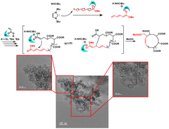 Graphical abstract: Use of an N-heterocyclic carbene (NHC)-based interacting Lewis pair for the synthesis of a cyclic poly(alkyl acrylate) via chain-growth polymerization and subsequent ring-closing without extreme dilution