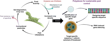 Graphical abstract: The role of polyplexes in developing a green sustainable approach in agriculture