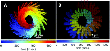 Graphical abstract: Bio-hybrid micro-swimmers propelled by flagella isolated from C. reinhardtii